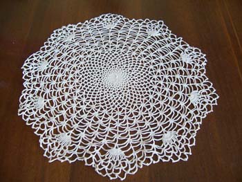 a_spiderdoily