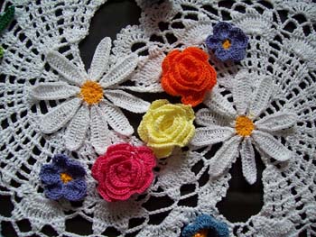 halfdoily1