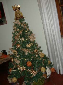 albero